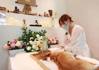 全国覆盖68个城市，年服务10万只宠物 恩宠堂靠标准化崛起，揭秘千亿宠物殡葬赛道护城河