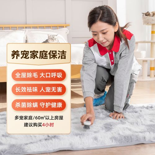 宠物友好家庭的专业保洁 从毛发到气味，再到消毒的全方位指南