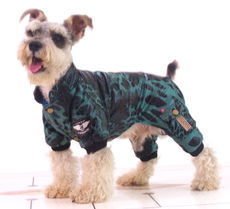 从零售到生态 宠物用品实体企业的集约化与服务化转型